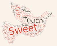 Sweet Touch Trio : logo avec un oiseau clair sur lequel est écrit Sweet Touch trio en plusieurs tailles et couleurs
