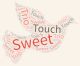 Sweet Touch Trio : logo avec un oiseau clair sur lequel est écrit Sweet Touch trio en plusieurs tailles et couleurs